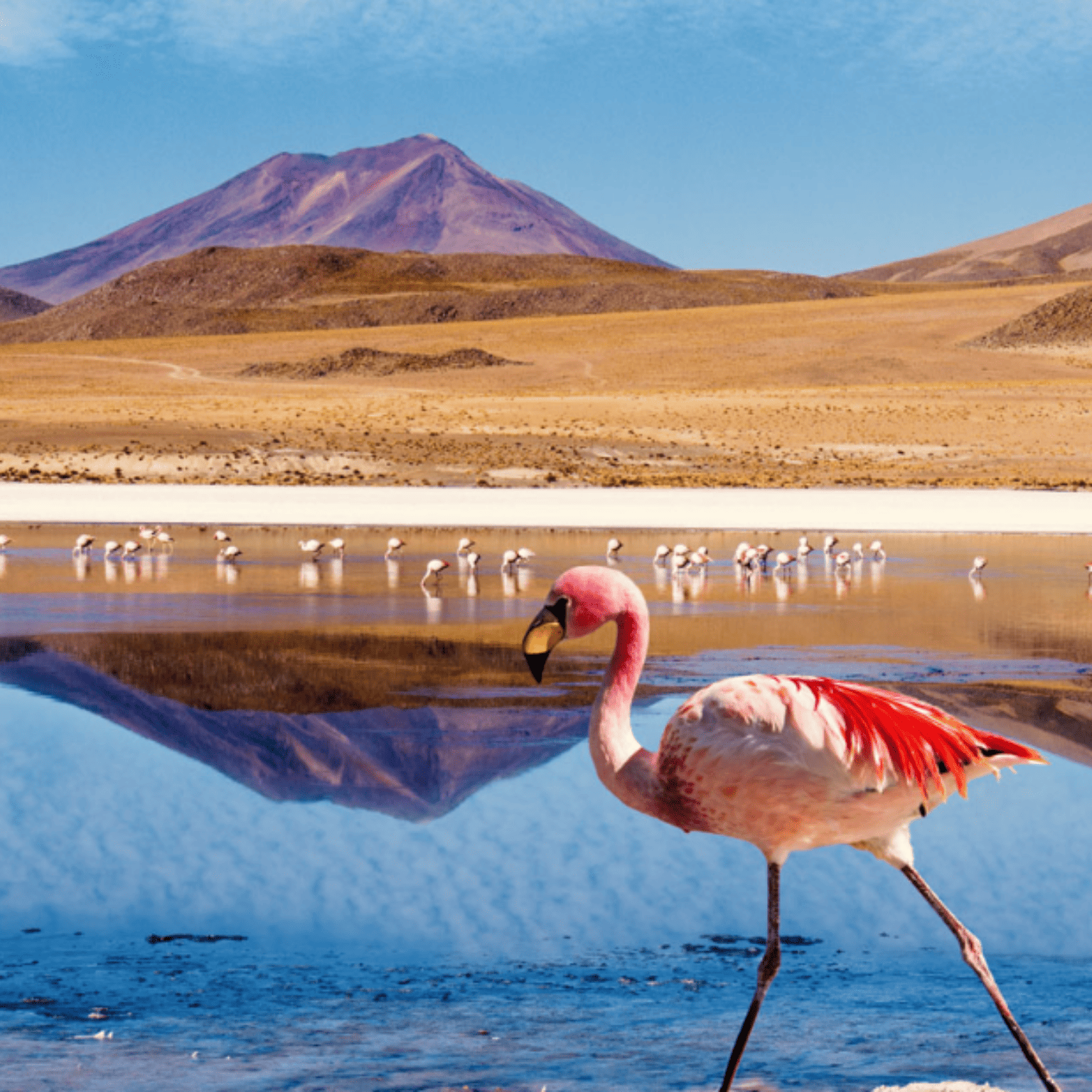 Désert d'Atacama-Chili