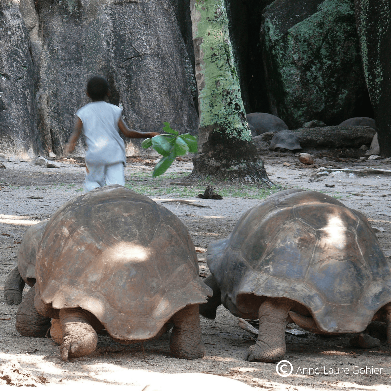 Seychelles