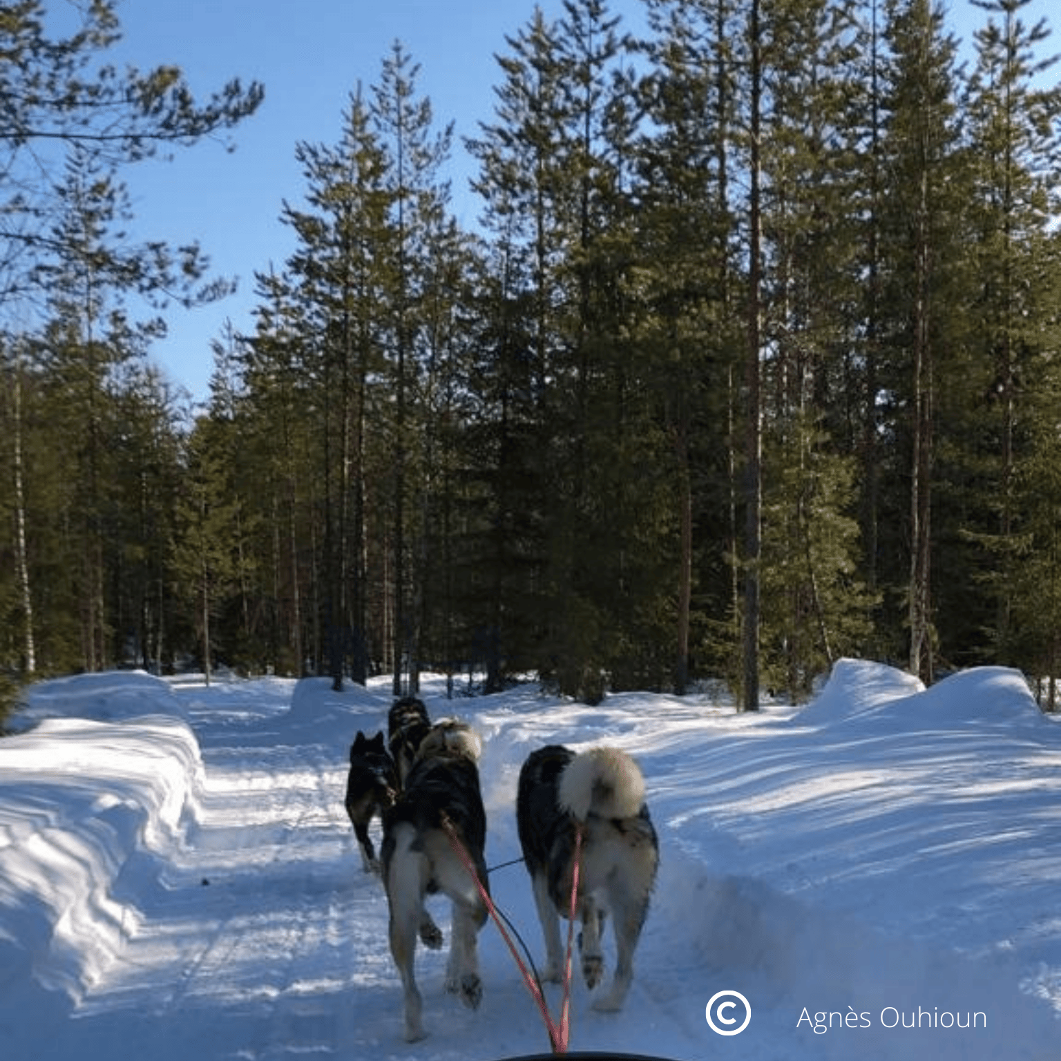 Laponie finlandaise