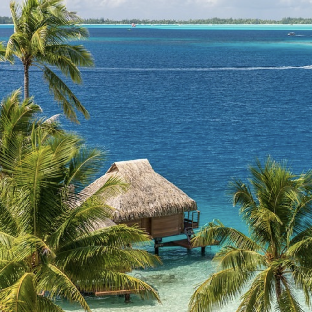 Capture d’écran 2026-02-23 à 11.43.17