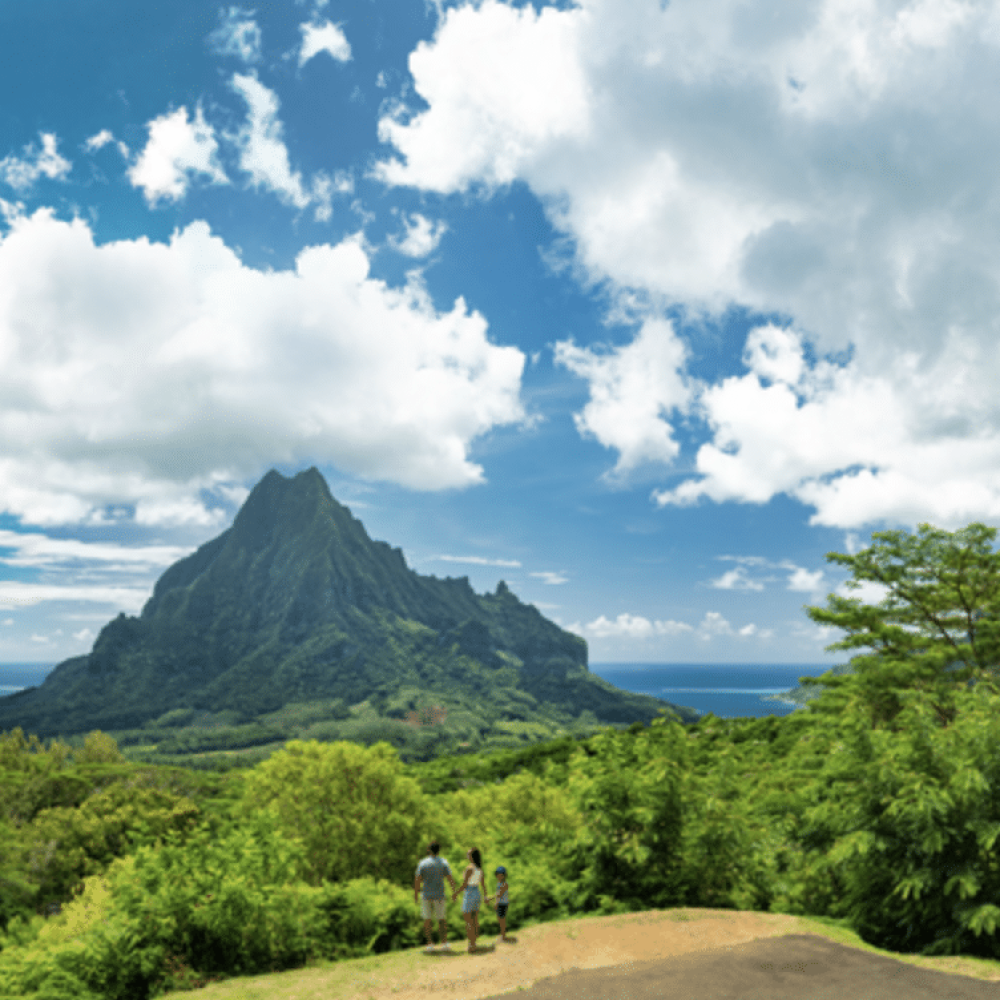 Capture d’écran 2026-03-04 à 15.19.22