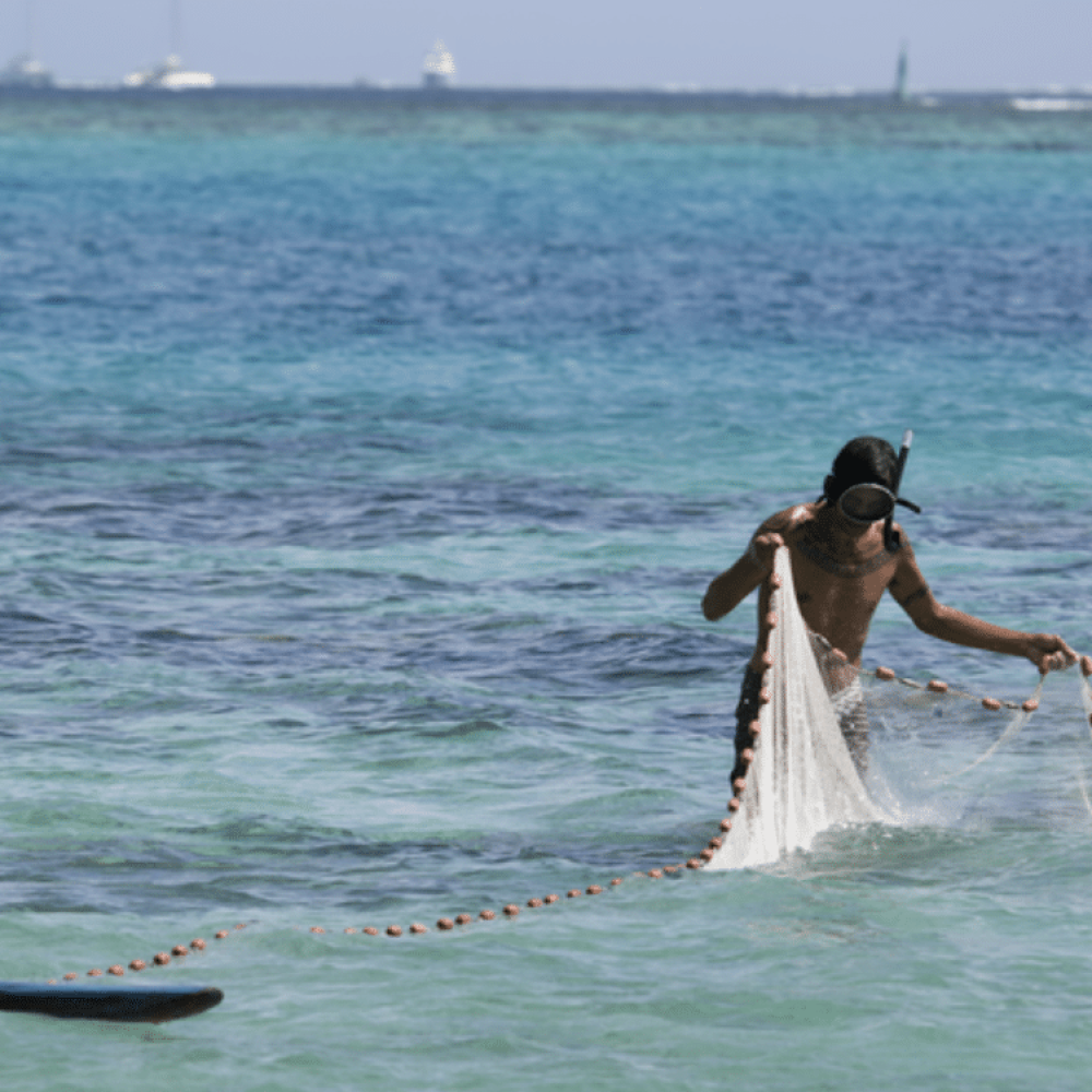 Capture d’écran 2026-03-04 à 15.28.44