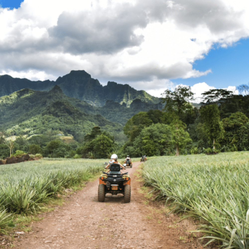 Capture d’écran 2026-03-04 à 15.45.56