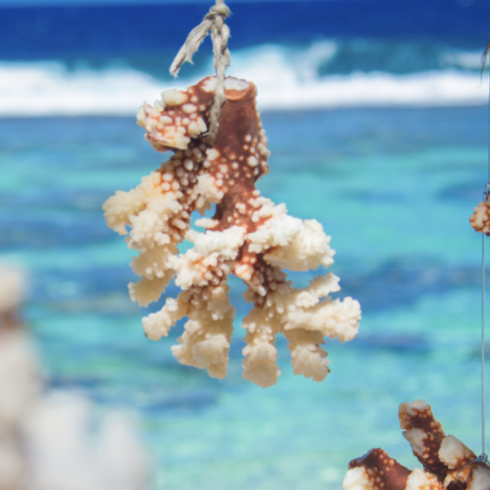 Capture d’écran 2026-03-04 à 15.53.43