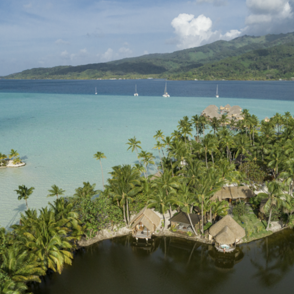 Capture d’écran 2026-03-04 à 16.14.18