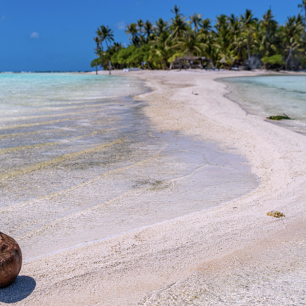 Capture d’écran 2026-03-05 à 10.20.15