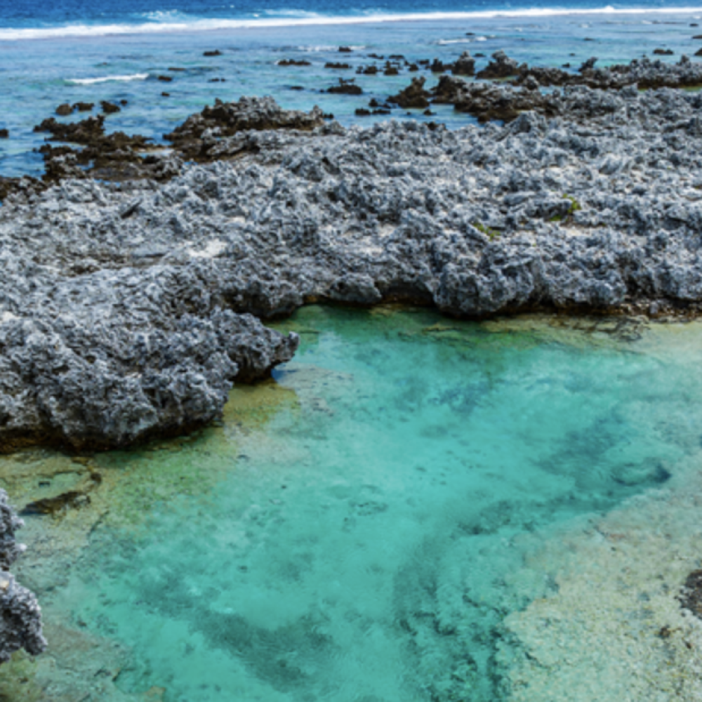 Capture d’écran 2026-03-05 à 10.23.10