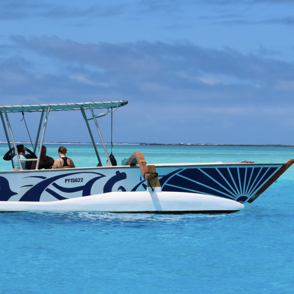 Capture d’écran 2026-03-05 à 16.21.38