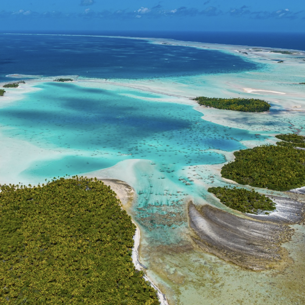 Capture d’écran 2026-03-05 à 16.39.56