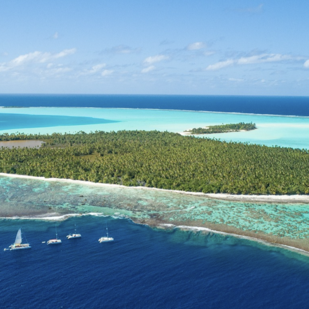 Capture d’écran 2026-03-06 à 14.38.53