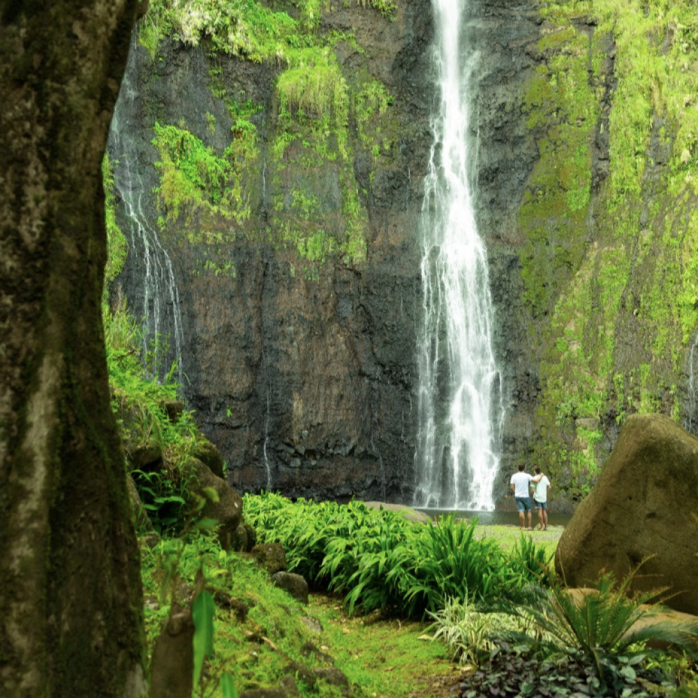 Capture d’écran 2026-03-06 à 14.59.38