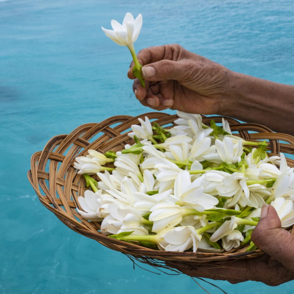 P2_10_2020-02-07-018 © Holger Leue-4184x2792